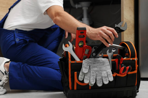 Best Local Plumber Services  in Woodville, FL